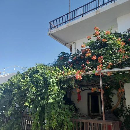 Ampelos Andros Batsi  Ngoại thất bức ảnh